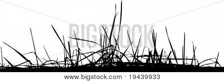 Teil des Boden mit Gras Vektor