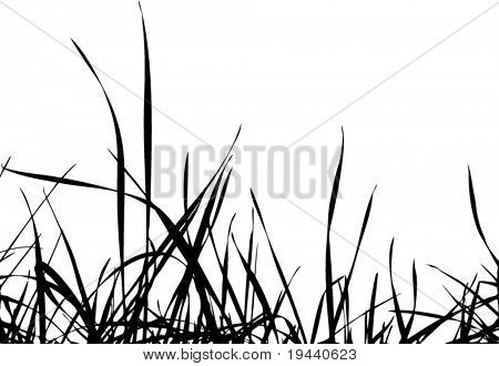 Teil des Gras Silhouette vektor