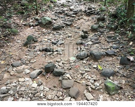 nature walkway in in Khao Chamao , Rayong , Thailand