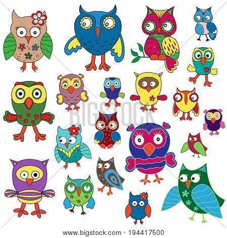 Set Of Twenty Amusing Colorful Owls