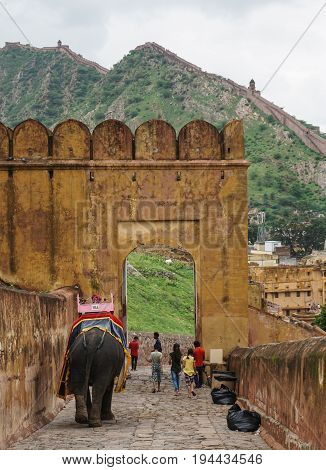 People With Elephants At Amber Fort In Jaipur, India