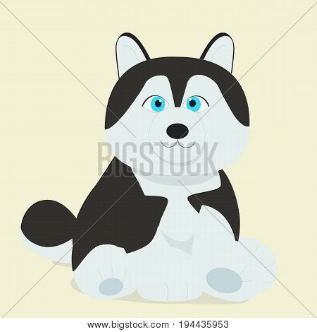 Cute Baby Sybirian Huskey sitting on ground with pastel background