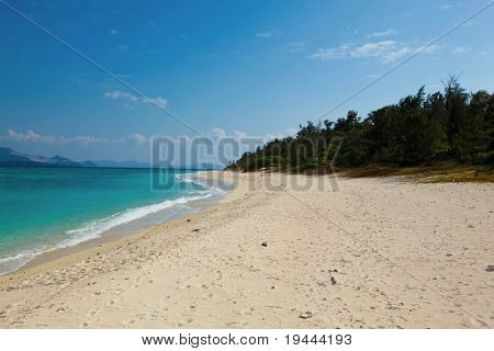 หาด szene