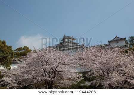 日本の城花見を