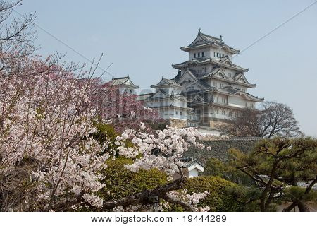 日本の城花見を