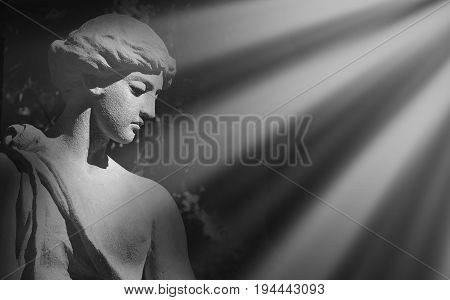 The goddess of love in Greek mythology Aphrodite (Venus in Roman mythology)