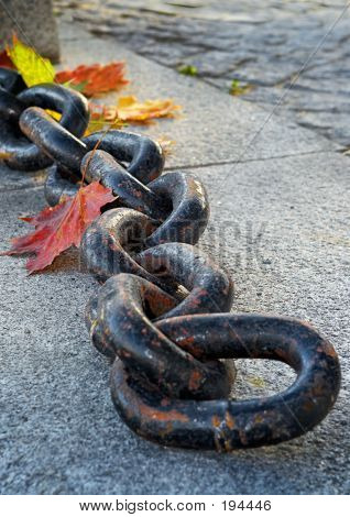 Bellezza di sbiadisc autunno
