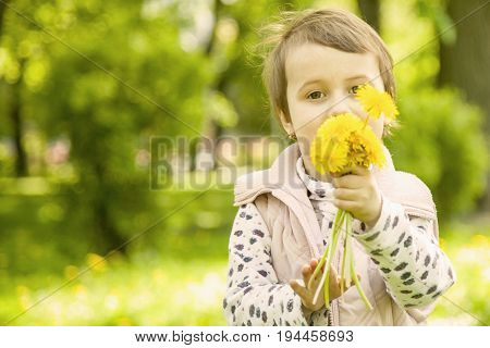 Happy carefree childhood. Little girl enjoys the smell of flowers on the yellow field (Recreation summer nature vacation concept)