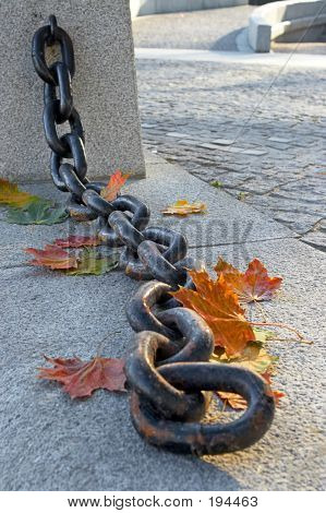Bellezza di sbiadisc autunno
