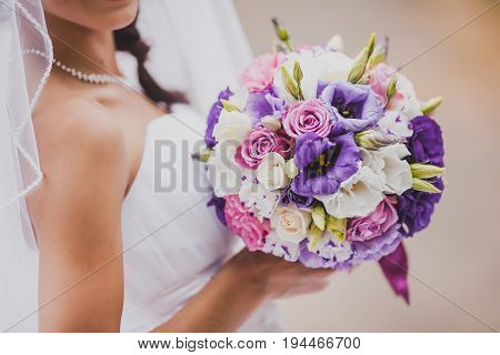 elegant bride in a white classic dress and veil holding a wedding bouquet from violet roses. Tenderness, love, wedding concept.