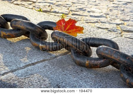 Bellezza di sbiadisc autunno