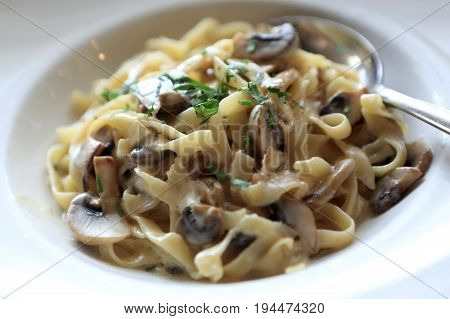 Fettuccine With Mushrooms