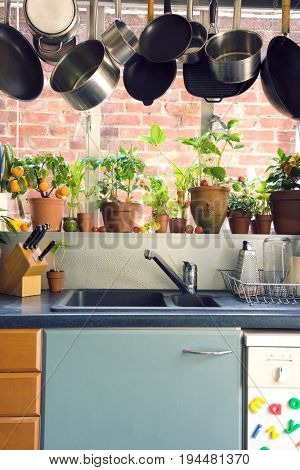 Saucepans hanging over sink against potted plants on window sill in domestic kitchen