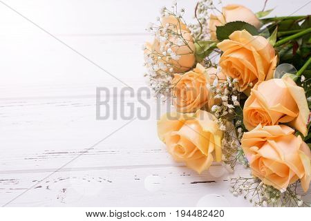 Fresh peach color roses flowers on white wooden background in ray of light . Shubby chic. Place for text. Selective focus.