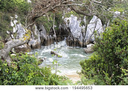 Natural Pool Surrounded Of Trees In, Gulpiyuri Beach, Spain