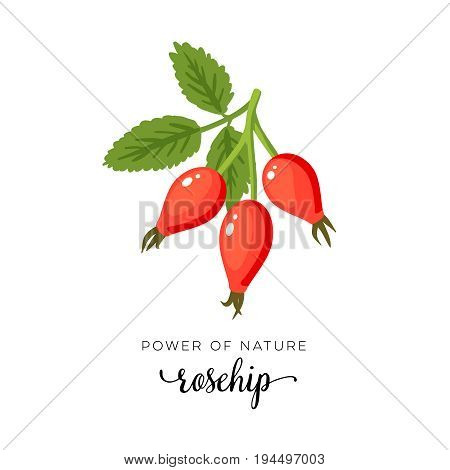 Red rosehip berry flat icon with inscription colorful vector illustration of eco food isolated on white.