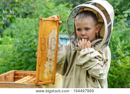 The boy beekeeper saves fresh honey from a honey cell on an apiary. Fresh honey Apiculture