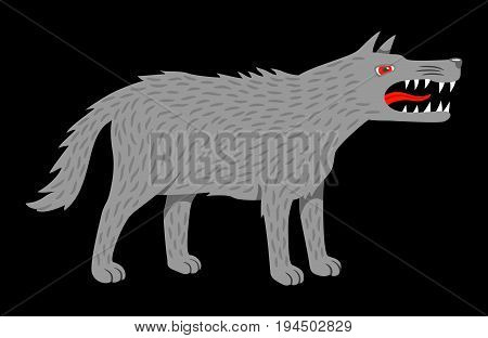 Angry evil wolf. Vector illustration isolated on black