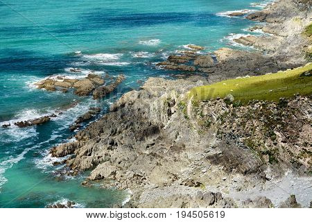 The coast of the North Devon in the Woolacombe area. England
