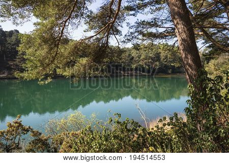 Beautiful Vibrant Landscape Image Of Old Clay Pit Quarry Lake With Unusual Colored Green Water
