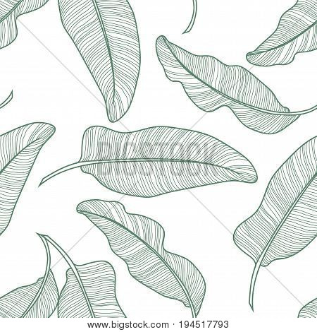 Seamless Tropical Pattern With Banana Leaves. Vector Hand Drawn Illustration.