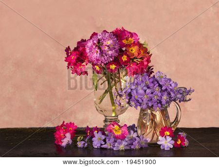 ช่อดอกไม้ในฤดูใบไม้ผลิ primroses แก้วเหยือก