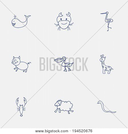 Set Of 9 Editable Animal Icons. Includes Symbols Such As Shadoof, Pelican, Tall Animal And More. Can Be Used For Web, Mobile, UI And Infographic Design.