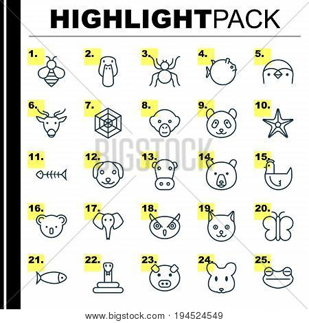 Zoology Icons Set. Collection Of Bear, Piglet, Marsupial And Other Elements. Also Includes Symbols Such As Chimpanzee, Bee, Baboon.