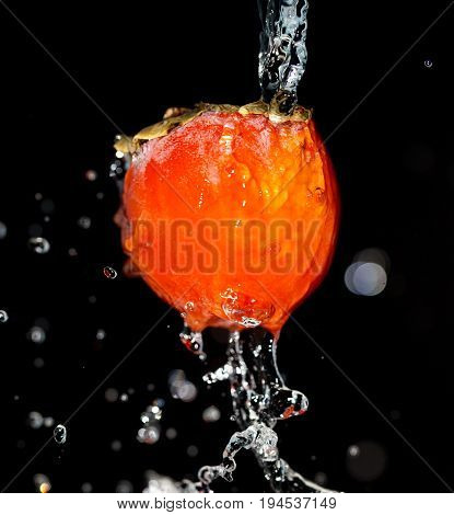 persimmon in water on a black background