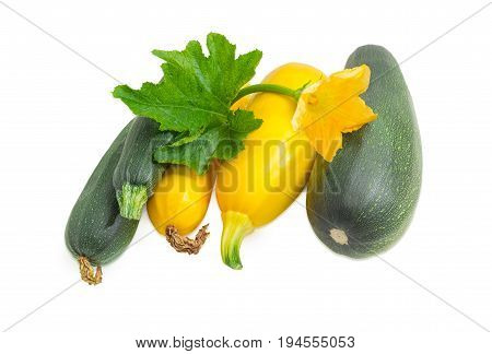 Several fresh dark green zucchini different sizes and yellow vegetable marrows with leaf and flower on a light background