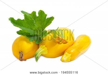 Three fresh yellow vegetable marrows with leaf and flower on a light background