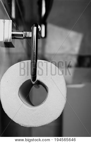 Toiler paper roll close up black and white tonned