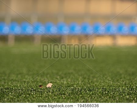 New Blue Plastic Seats On Outdoor Stadium Players Bench, Chairs Under Transparent Plastic Roof