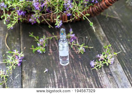 Alternative Medicine.thyme And Medical Ampoules. Essential Oils