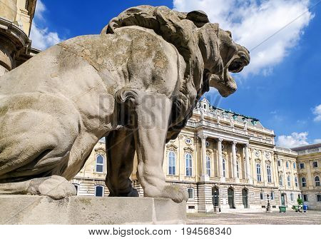 Statue of lyon at Buda castle in Budapest Hungary
