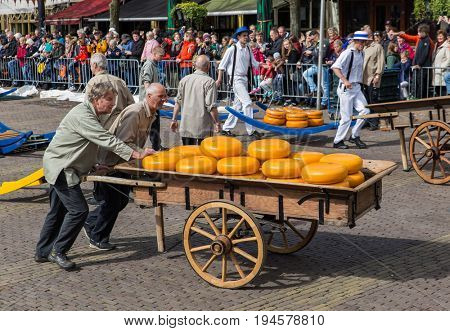 Alkmaar, Netherlands - April 28, 2017: Cheese buyers at traditional cheese market.