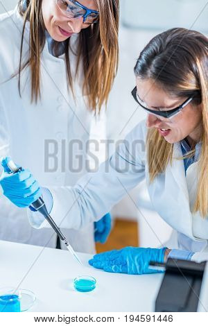 Life Science Research I N The Lab, Toned Image, Two People
