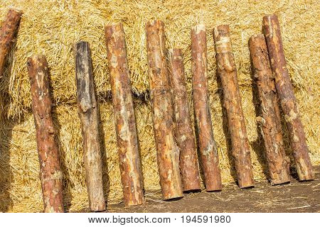 Logs On a briquette of hay. a stack of hay.