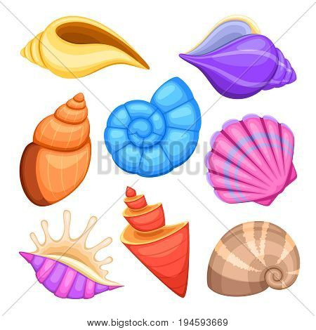 Ocean cockleshells. Cartoon sea shells vector collection. Illustration of sea cockleshells