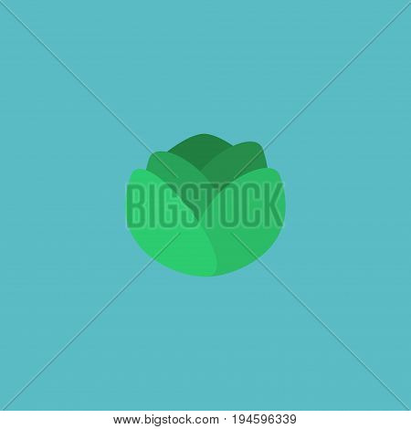 Flat Icon Cabbage Element. Vector Illustration Of Flat Icon Cauliflower Isolated On Clean Background. Can Be Used As Cauliflower, Cabbage And Cole Symbols.