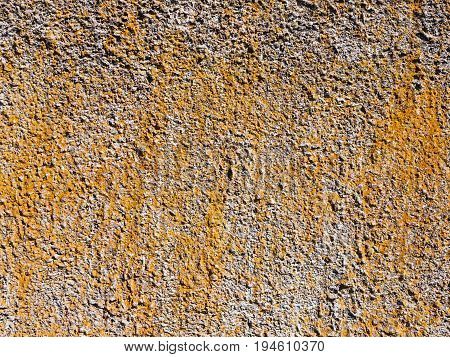 Texture of cement plaster for use as a background. The old rough surface is covered with colored moss.The texture is similar to rust.