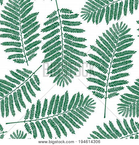 Fern leaf pattern. Vector illustration. Decor element