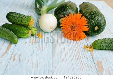 Still life of cucumbers and other vegetables and seasonings