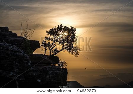 Tundavala mountain sunset tree sillhoutte in Lubango, Angola