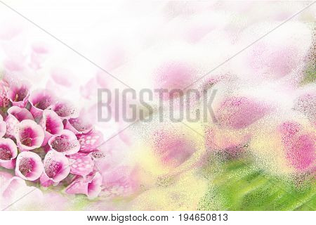 Light background with beautiful purple flowers Foxglove