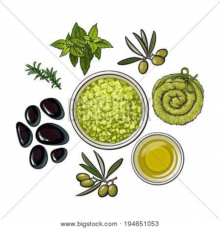 Set of spa salon accessories - basalt stones, massage oil, aromatic salt, towel, herbs, sketch vector illustration on white background. Hand drawn spa set - stones, massage oil, rolled up towel, herbs