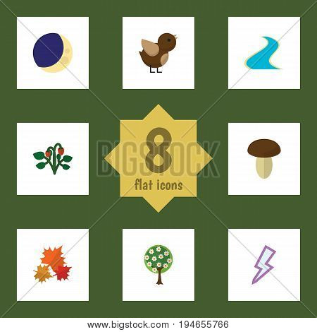 Flat Icon Nature Set Of Champignon, Bird, Tributary And Other Vector Objects. Also Includes Crescent, Leaf, Storm Elements.