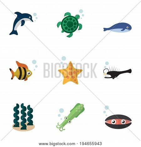 Flat Icon Sea Set Of Tortoise, Octopus, Sea Star And Other Vector Objects. Also Includes Humpback, Octopus, Dolphin Elements.