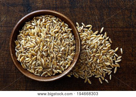 Kamut Wheat Kernels In Dark Wooden Bowl Isolated On Dark Brown Wood From Above. Spilled Wheat.