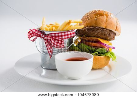 Hamburger by french fries in container with tomato sauce on plate against white backgroun